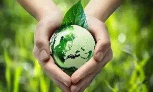 乐鱼在线登录官网零碳（近零碳）发展战略和实施方案